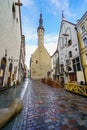 Medieval town hall with its high tower dominating the city. Tallinn Estonia. Royalty Free Stock Photo