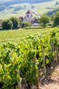 A medieval village in the middle of a vineyard in France Royalty Free Stock Photo