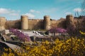 Medieval Walls of Avila City - Avila, Castile and Leon, Spain