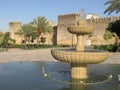 medieval walls, fez, Marocco Royalty Free Stock Photo