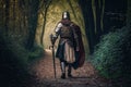 medieval warrior with sword in hand walking on forest path Royalty Free Stock Photo