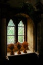 Medieval window Royalty Free Stock Photo