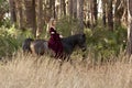 Medieval woman riding horse Royalty Free Stock Photo