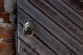 Medieval wooden door with lion handle