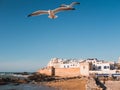 Medina of Essaouira, Morocco, with old city wall Royalty Free Stock Photo