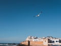 Medina of Essaouira, Morocco, with old city wall Royalty Free Stock Photo