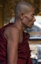 Meditating Burmese Buddhist monk