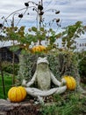 Meditating Garden Frog Landscaping Display