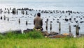 Meditating Man, Hudson River