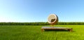 Meditation ball chair at grass field Royalty Free Stock Photo