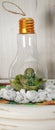 Lightbulb craft, with buddha on bed of moss, on sunflower table meditatiion Royalty Free Stock Photo