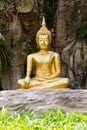 Meditation Buddha statue. Royalty Free Stock Photo