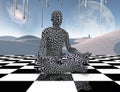 Meditation on a chessboard