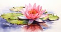 Meditation elegance tranquil waterlily background white zen floral outdoors single lily reflection abstract lotus