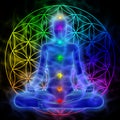 Meditation - flower of life Royalty Free Stock Photo