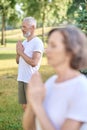 Group of people meditating together in park Royalty Free Stock Photo