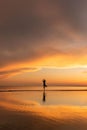 Meditation woman practicing tree yoga pose on the beach at sunset Royalty Free Stock Photo