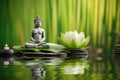 The meditative concept with a Buddha statue and bamboo in green water, in the style of floral still lifes