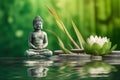 The meditative concept with a Buddha statue and bamboo in green water, in the style of floral still lifes