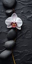 Meditative Orchid: Dark Gray And Black Stone Tabletop Photography