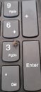 Mediteranian fruitfly in laptop keyboard