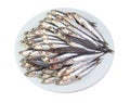 Mediterranean anchovies isolated on a white Royalty Free Stock Photo