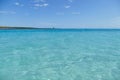 Mediterranean beach in The Spiaggia La Pelosa, Stintino, Sardinia. Royalty Free Stock Photo