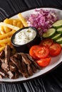 Mediterranean Beef Shawarma Bowl with french fries, vegetables and sauce close-up. vertical