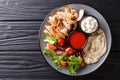 Mediterranean Chicken Shawarma Bowl with hummus, vegetables salad and sauce close-up. Horizontal top view