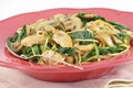 Mediterranean Chicken and Spinach Pasta Royalty Free Stock Photo