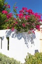 Mediterranean citiscape with blooming pink bougainvillea bush on Rhodos Island, Greece