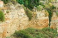 Mediterranean Cliff Detail Surface Plants