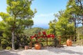 The Mediterranean coast, green trees, red flowers, the sea