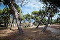 Mediterranean coast near Hyeres