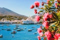 Mediterranean coast. White houses, turquose sea and yachts. CadaquÃÂ©s Spain. Royalty Free Stock Photo