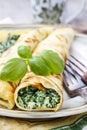Mediterranean cuisine: crepes stuffed with cheese and spinach Royalty Free Stock Photo