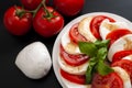 Mediterranean cuisine, fresh vegetarian food and italian culinary art concept with Caprese salad made of mozzarella cheese, rraw Royalty Free Stock Photo