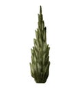 Mediterranean Cypress tree watercolor illustration isolated on white. Green evergreen Southern Europe nature plant