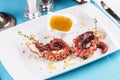 Mediterranean dish fried octopus tentacles with bolzimik sauce and rosemary Royalty Free Stock Photo