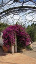 Mediterranean dome of Eden Project in Cornwall Royalty Free Stock Photo