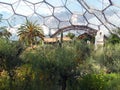 Mediterranean Dome of the Eden Project Cornwall Royalty Free Stock Photo