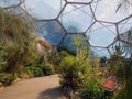 Mediterranean Dome, The Eden Project Cornwall Royalty Free Stock Photo