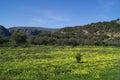 Mediterranean fields in Spring season Royalty Free Stock Photo