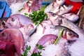 Mediterranean Fish Market Royalty Free Stock Photo
