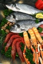 Mediterranean fish and seafood Royalty Free Stock Photo