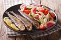 Mediterranean food: grilled sardines with fresh vegetable salad