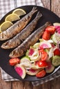 Mediterranean food: grilled sardines with fresh vegetable salad Royalty Free Stock Photo