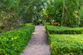 Mediterranean garden with footpath