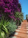 Mediterranean garden stairs