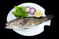 Mediterranean golden grouper fish with rockets leaves served on white plate Royalty Free Stock Photo